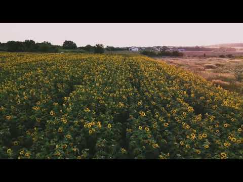 Fantanele, Bacău 30.07.2021