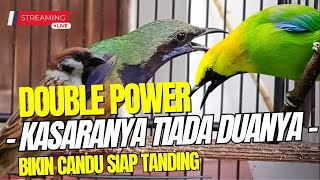 Download lagu FULL KASARAN-MENJERIT || BESETAN JENGGOT - CUNGKOK GEREJA TARUNG - TEPUS || KUNTI MENJERIT PANJANG mp3 Download lagu FULL KASARAN-MENJERIT || BESETAN JENGGOT - CUNGKOK GEREJA TARUNG - TEPUS || KUNTI MENJERIT PANJANG mp3