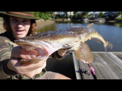 24 hour FISHING CHALLENGE - Eating Only What I Catch (DEADLY ANIMALS)