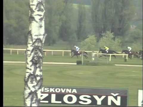 LL, 1. 5. 2016, 6. dostih - Prvomájová steeplechase Conseq