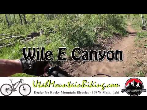  Some point-of-view       footage of Wile E Canyon on a counterclockwise ride...