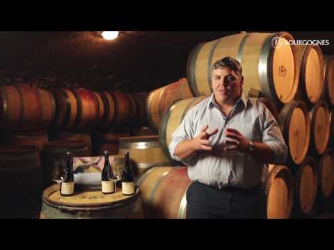 Nuits-Saint-Georges as seen  by Thibault Liger-Belair, winemaker