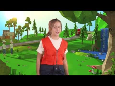 Smurfit Kappa: How paper is made?