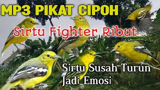 Download lagu MP3 PIKAT SIRTU/CIPOH YANG SUSAH TURUN JADI EMOSI FIGHTER mp3