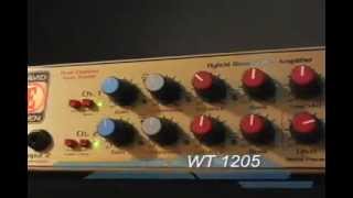 Video thumbnail for Ultratone Guitars Presents: Eden World Tour WT1205 showcase.flv by Ultratone Guitars