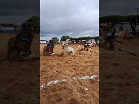 Vaquejada em Várzea do Poço-BA
