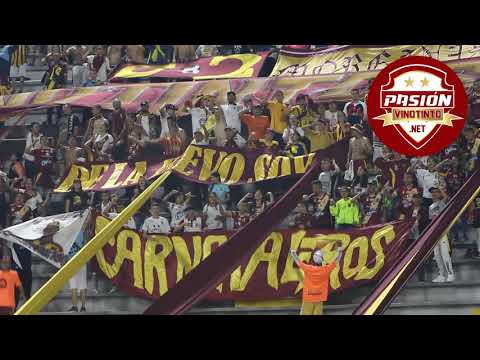"Soy Del Vinotinto, Si Señor" Barra: Revolución Vinotinto Sur &bull; Club: Tolima &bull; País: Colombia