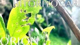 ORIONーオリオンー