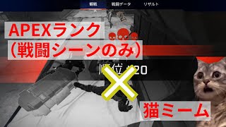 Apex戦闘シーンのみダイジェスト✕猫ミーム