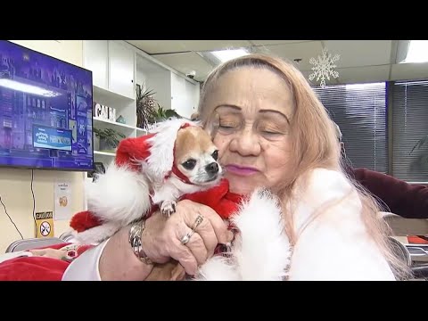 Senior Paws delivers gifts to seniors in need and their pets this holiday season - YouTube