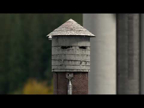 Asana Broke Workplace Silos in 15 Seconds With This Tight Mixed Style Explainer Ad