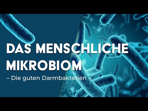 Kann unser Mikrobiom Tumore bekämpfen? Proktologe klärt auf