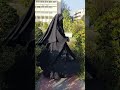 Burkha Collection Youtubeshorts Viralshort Shorts