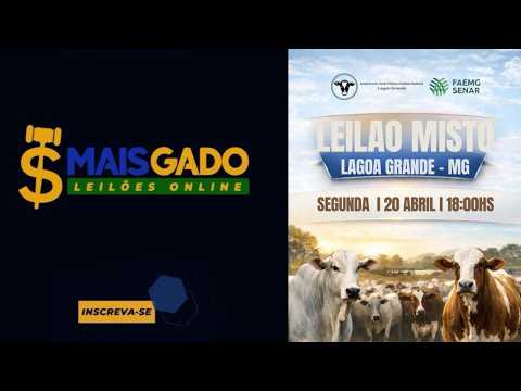 🐂🐄🐃 LEILÃO MISTO DE BOVINOS - LAGOA GRANDE/MG - MAIS GADO LEILÕES 🐂🐄🐃