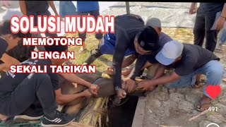 Download lagu SOLUSI MUDAH GAYA SATU KALI TARIKAN DALAM PEMOTONGAN HEWAN QURBAN mp3 Download lagu SOLUSI MUDAH GAYA SATU KALI TARIKAN DALAM PEMOTONGAN HEWAN QURBAN mp3