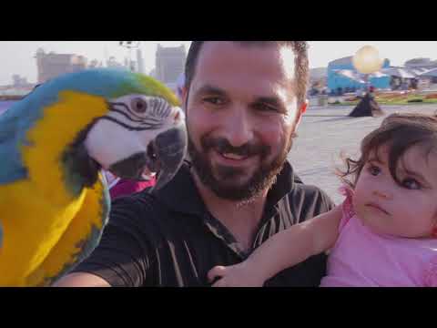 Ajyal 2017 Family Weekend | فعاليات الأسرة في نهاية الأسبوع في أجيال ٢٠١٧