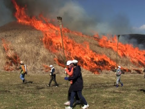 阿蘇市立阿蘇小学校の5年生が野焼き体験