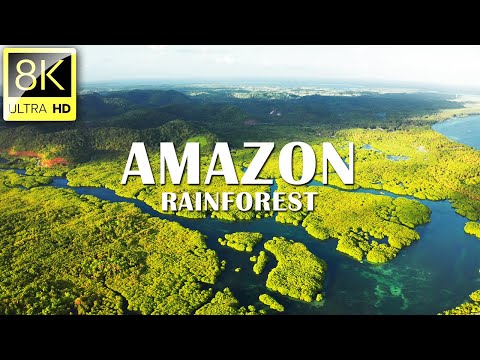 Amazon Rainforest in 8K ULTRA HD (60 FPS) | Relaxation Film With Epic Music