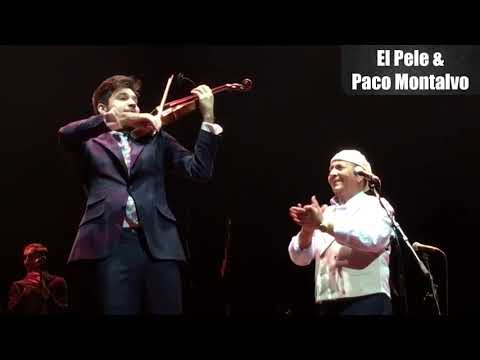 El Pele y Paco Montalvo - Vengo del Moro y Llámale Amor (Rumbas)