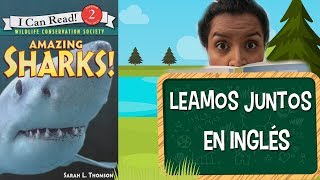 Let's Read: Amazing Sharks