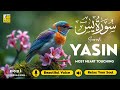 Surah Yasin Yaseen سورة يس Beautiful Voice Heart Touching Quran For Sleep No Ads Alaa Aqel