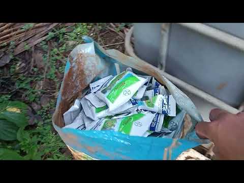 ah chị chịu khó phòng bệnh nấm 🍄 phi tốp tô ra nhà.