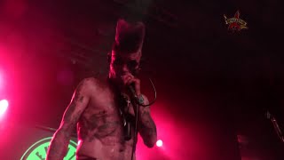 Demented Are Go - Who Put Grandma Under The Stairs - Potsdam 2014