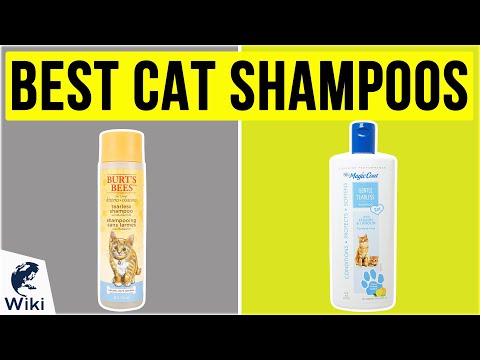 10 Best Cat Shampoos 2020