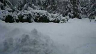 preview picture of video 'Blizzard 2008 Vancouver Island'