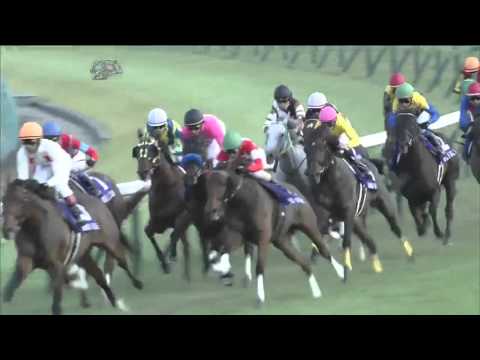 2015.10.04 Sprinters Stakes (JPN) - Straight Girl