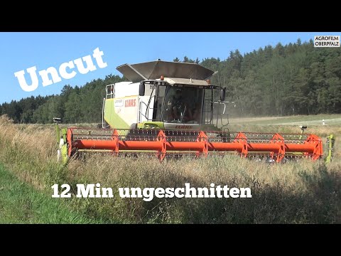 Uncut - 12 Min ohne Schnitt - Claas Lexion 600 TT - LU Dirschedl - Raps dreschen