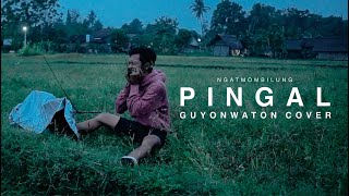 Pingal by Guyonwaton - cover art