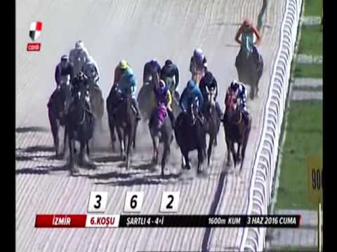 OĞLUM MELİH (Strike The Gold-Just Add Oats by Touch Gold)