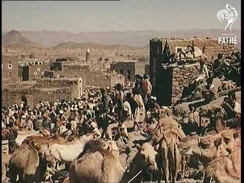 BRITISH ARMY DURING THE ADEN INSURGENCY (1963).