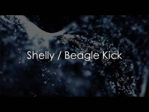 Shelly / Beagle Kick (2018 Recording)