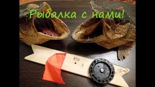 Все о рыбалка в нижнем тагиле форум