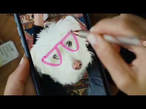 Adonit Pro 4 A Luxury, High-Precision Disc Stylus for All Touchscreens