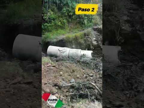 13 de julio de 2026