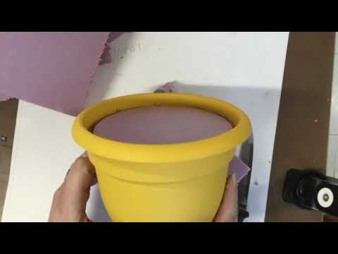 Paper Mache Cacti Day One