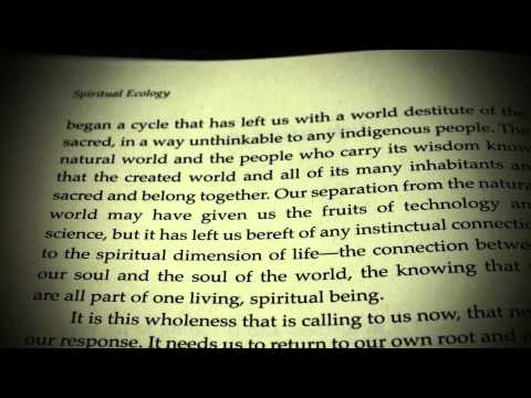 Essay earthquake