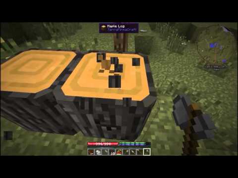 TechnodeFirmacraft 01