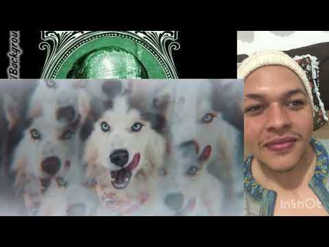 “CORAÇÃO NO ALASKA” MC’s LÉO DA BAIXADA, JOÃOZINHO VT, KANHOTO, GP E MC PEDRINHO (React)