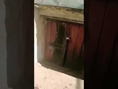 Moldovean beat inchis in beci