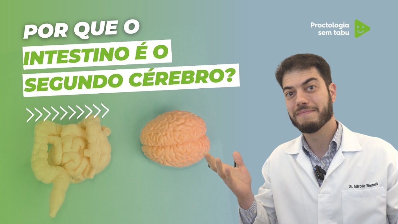 Porque o intestino é o segundo cérebro?