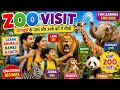 Zoo Adventure Visit Rhyme For Kids Learn Zoo Animals With Fun Rhymes Nursery Rhymes Animal