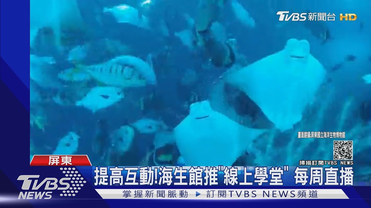 動物來當家！熊貍、山羊逛園區　閉館照賣萌