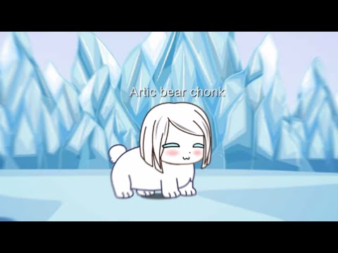 Arctic bear CHONK