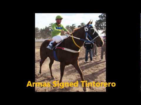 Morteros - Clasificatorias Pollas Tres Haras