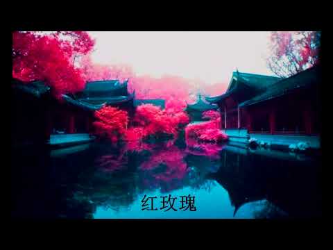 Stygle - Raudona rožė 红玫瑰 (Prod. Warrain)