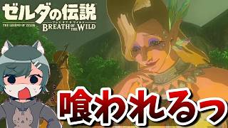 名作「ブレスオブザワイルド」を勉強しようぜ！～超絶守銭奴大精霊～『ゼルダの伝説ブレスオブザワイルド』（再編集版）♯ 8